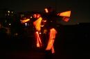 La Plume de Newton 015 * 4368 x 2912 * (4.42MB)
